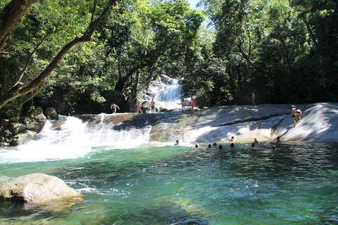 Double Pack-Ancient Rainforest And Waterfalls! - Tweed Heads Accommodation 2