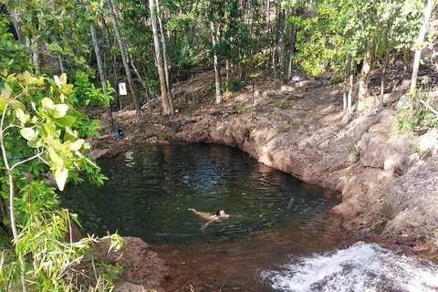 One Day Litchfield Park Adventures - Tweed Heads Accommodation 2