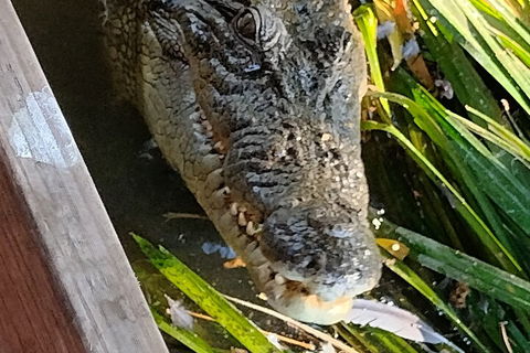 Litchfield Park Adventures And Jumping Crocodile Cruise + Butterfly Farm - Tweed Heads Accommodation 1