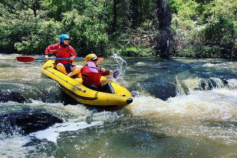 Yarra River Half-Day Rafting Experience - Tweed Heads Accommodation 4