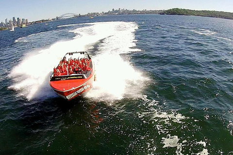 Sydney Harbour Jet Boat Thrill Ride: 30 Minutes - Tweed Heads Accommodation 0