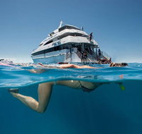 3 Day Great Barrier Reef Daintree Rainforest and Outback Chillagoe Tour - Tweed Heads Accommodation