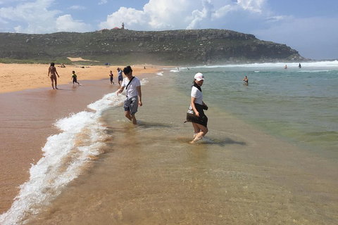 Small-Group Sydney's Northern Beaches And Ku-ring-gai National Park Bus Tour - Tweed Heads Accommodation 5