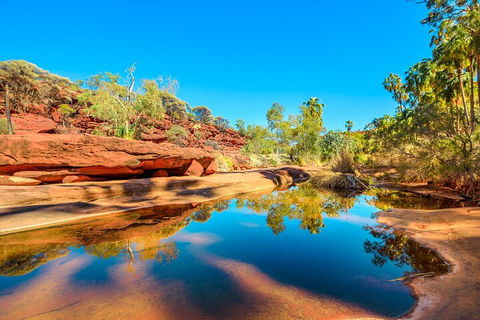 7-Day Guided Tour Of Alice Springs With Accommodation Included - Tweed Heads Accommodation 1