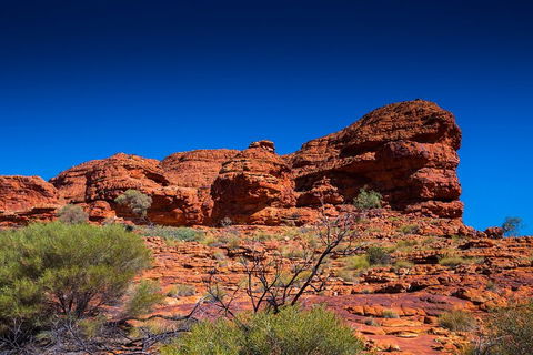 7-Day Guided Tour Of Alice Springs With Accommodation Included - Tweed Heads Accommodation 4
