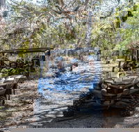 Small-Group Buggy Tour at Little Sahara with Guide - Tweed Heads Accommodation