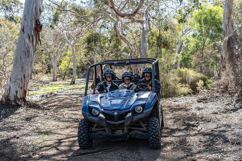 Small-Group Buggy Tour At Little Sahara With Guide - Tweed Heads Accommodation 0