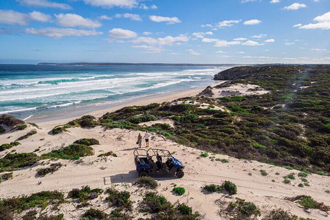Small-Group Buggy Tour At Little Sahara With Guide - Tweed Heads Accommodation 1
