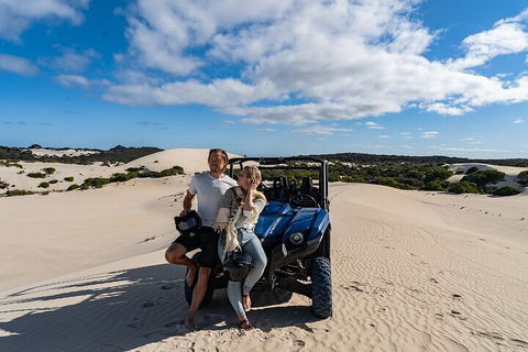 Small-Group Buggy Tour At Little Sahara With Guide - Tweed Heads Accommodation 2