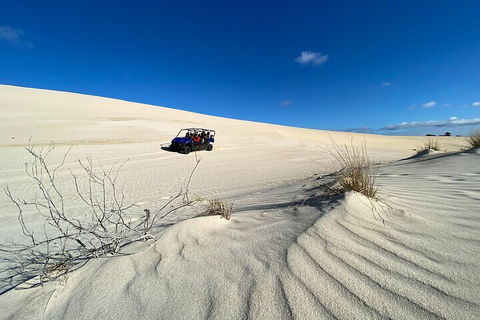 Small-Group Buggy Tour At Little Sahara With Guide - Tweed Heads Accommodation 3
