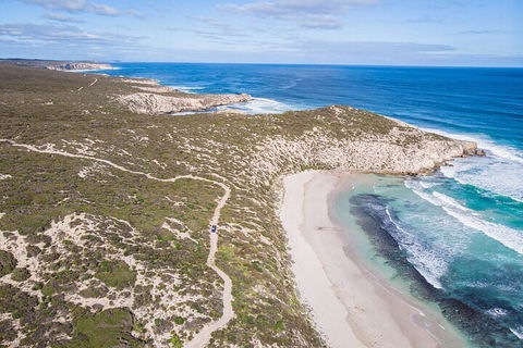 Small-Group Buggy Tour At Little Sahara With Guide - Tweed Heads Accommodation 4