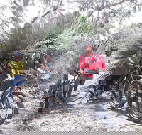 2 Hour Bike Tour in Kangaroo Island - Tweed Heads Accommodation