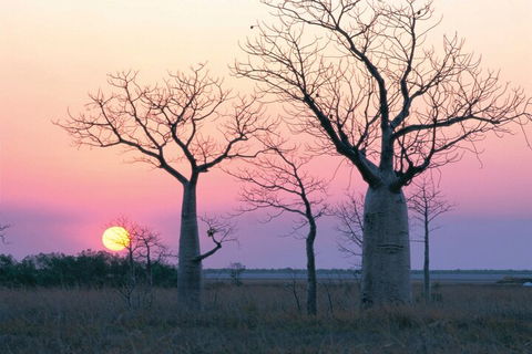 8-Day Outback Experience From Queensland - Tweed Heads Accommodation 5