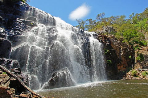 Grampians National Park Small-Group Eco Tour From Melbourne - Tweed Heads Accommodation 0