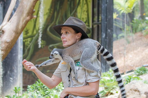 Currumbin Wildlife Sanctuary General Entry Ticket - Tweed Heads Accommodation 1