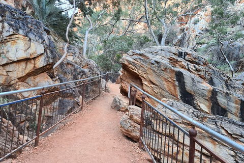 West MacDonnell Ranges Half - Day Tour - Tweed Heads Accommodation 0