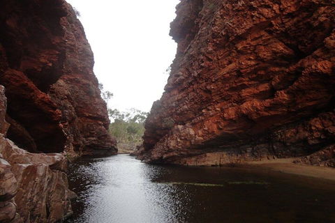 West MacDonnell Ranges Half - Day Tour - Tweed Heads Accommodation 4