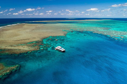 Calypso Outer Great Barrier Reef Cruise From Port Douglas - Tweed Heads Accommodation 1
