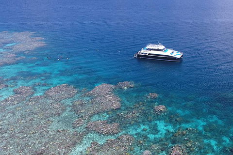 Calypso Outer Great Barrier Reef Cruise From Port Douglas - Tweed Heads Accommodation 4