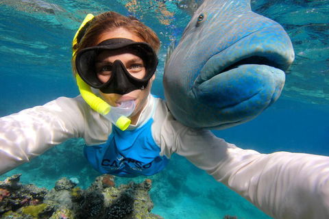 Calypso Outer Great Barrier Reef Cruise From Port Douglas - Tweed Heads Accommodation 5