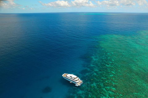 Great Barrier Reef Snorkeling And Diving Cruise From Cairns - Tweed Heads Accommodation 4