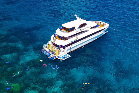 Great Barrier Reef Snorkeling And Diving Cruise From Cairns - Tweed Heads Accommodation 5
