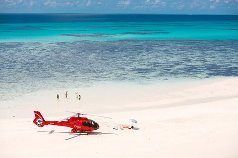 Private Helicopter Tour: Reef Island Snorkeling And Gourmet Picnic Lunch - Tweed Heads Accommodation 2