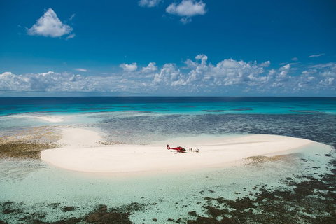 Private Helicopter Tour: Reef Island Snorkeling And Gourmet Picnic Lunch - Tweed Heads Accommodation 4