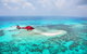 Private Helicopter Tour: Reef Island Snorkeling And Gourmet Picnic Lunch - thumb 5