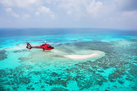 Private Helicopter Tour: Reef Island Snorkeling And Gourmet Picnic Lunch - Tweed Heads Accommodation 5