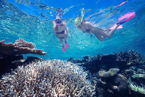 Great Barrier Reef Scenic Helicopter Tour And Cruise From Cairns - Tweed Heads Accommodation 3