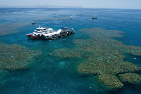 Cruise To Moore Reef Pontoon And Return Helicopter Flight From Cairns - Tweed Heads Accommodation 0