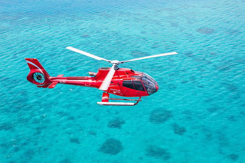 Cruise To Moore Reef Pontoon And Return Helicopter Flight From Cairns - Tweed Heads Accommodation 1