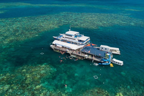 Cruise To Moore Reef Pontoon And Return Helicopter Flight From Cairns - Tweed Heads Accommodation 2