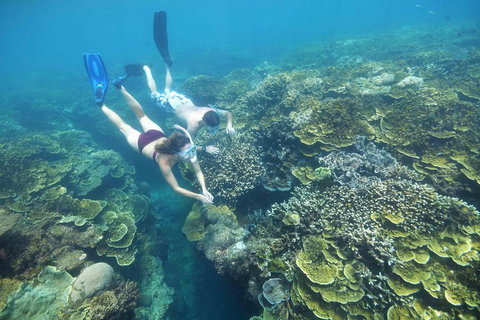 Cruise To Moore Reef Pontoon And Return Helicopter Flight From Cairns - Tweed Heads Accommodation 3