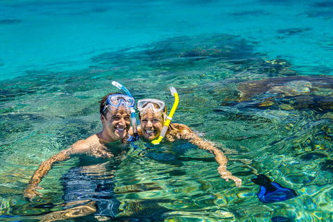 Fly To Green Island - Cruise Return - Tweed Heads Accommodation 2