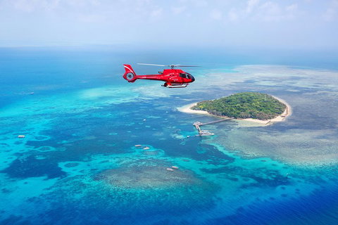 Fly To Green Island - Cruise Return - Tweed Heads Accommodation 3