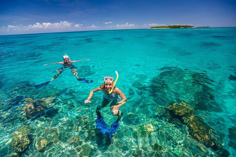 Fly To Green Island - Cruise Return - Tweed Heads Accommodation 4