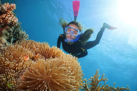 Helicopter And Cruise Packages From Port Douglas - Tweed Heads Accommodation 3