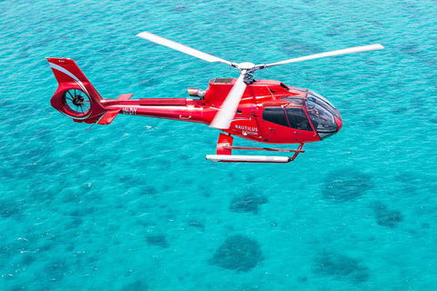 Helicopter And Cruise Packages From Port Douglas - Tweed Heads Accommodation 5