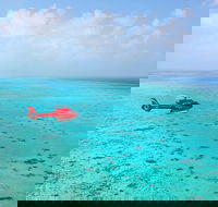 Port Douglas Scenic Flights - Tweed Heads Accommodation