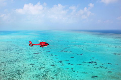 Port Douglas - Cruise And 10 Minute Scenic Flight - Tweed Heads Accommodation 1