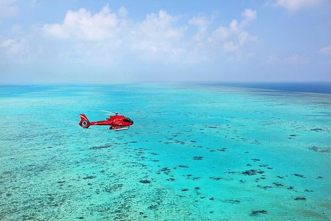 Ultimate Great Barrier Reef And Rainforest 45-minute Helicopter Tour - Tweed Heads Accommodation 2