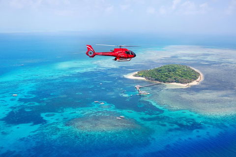 Ultimate Great Barrier Reef And Rainforest 45-minute Helicopter Tour - Tweed Heads Accommodation 4