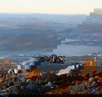 Mt. Wellington Bonorong and Richmond Day Tour from Hobart - Tweed Heads Accommodation