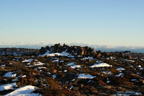 Mt. Wellington, Bonorong And Richmond Day Tour From Hobart - Tweed Heads Accommodation 5