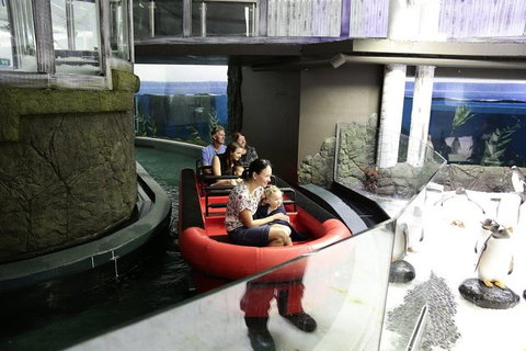 Sydney Attractions Pass: SEA LIFE Aquarium, Sydney Tower Eye, WILD LIFE Zoo And Madame Tussauds - Tweed Heads Accommodation 0