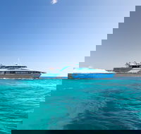 Fremantle to Rottnest Island Roundtrip Ferry Ticket - Tweed Heads Accommodation