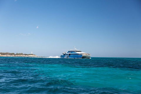 Fremantle To Rottnest Island Roundtrip Ferry Ticket - Tweed Heads Accommodation 5