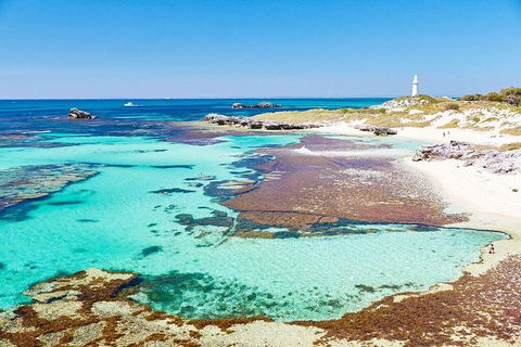 Rottnest Island All-Inclusive Grand Island Tour From Fremantle - Tweed Heads Accommodation 1